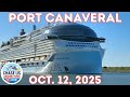 3 Cruise Ships 3 Horns! Star of the Seas, MSC Seashore and Carnival Vista 🎶