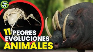 ANIMALES Tratados INJUSTAMENTE Por La NATURALEZA