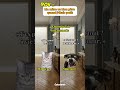 Ma mère vs Mon père quand j'étais petit #humour #drole #catmemes #pov
