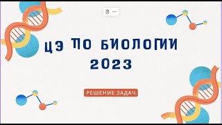 :    2023.  
