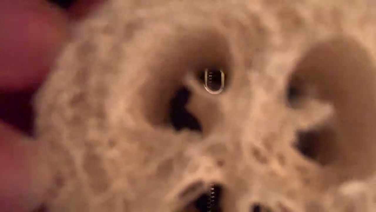 【雑ASMR】乾燥輪切りヘチマの音