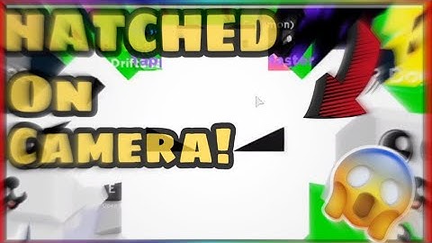 I HATCHED THE *(0.025%)* EXOTIC ON CAMERA! OMG! (Tapping Legends.)