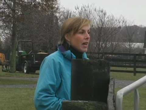 Elaine Cardillo Working with a Youngster - part 1