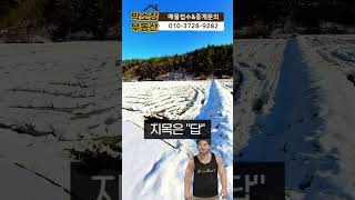 강릉시 운산동 20만원도 안하는 생산관리 토지