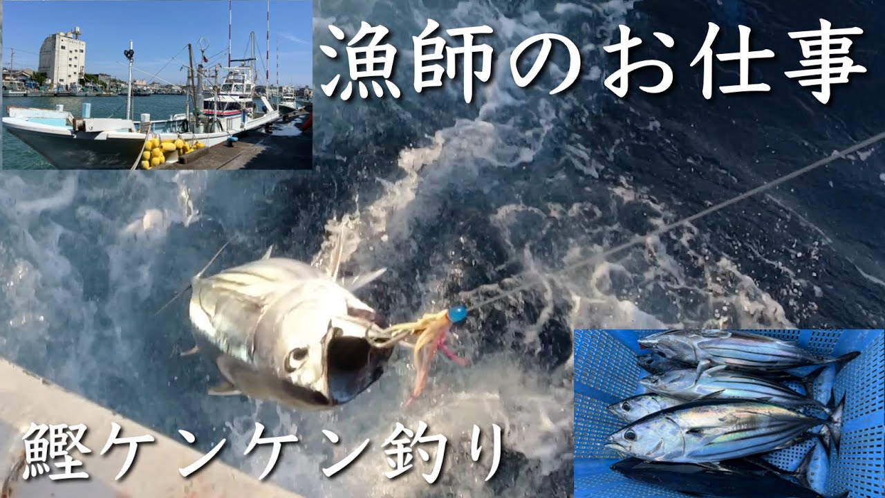 [漁師のお仕事]大忙しの鰹ケンケン釣り漁‼️
