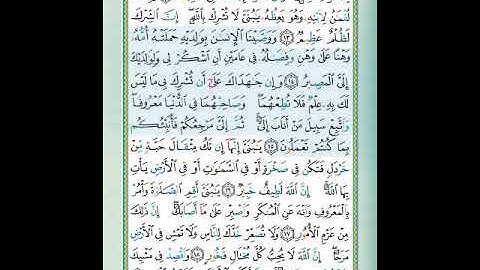 سورة لقمان الآيات 14-15 تلاوة الشيخ أيمن سويد #قليل_دائم_خير