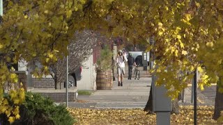 Missoula mayoral candidates face off in virtual debate