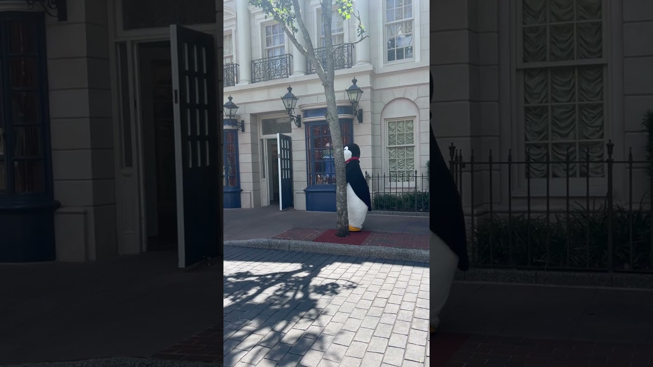 The Penguins from Mary Poppins meeting guest in the UK Pavilion at Epcot!