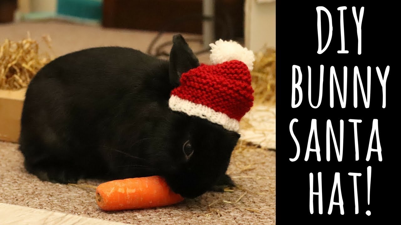 Bunny Santa Hat Beginner Knitting Tutorial Thatquirkygirl