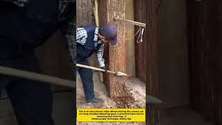 Log Debarking Spud Tool | Fast & Easy Bark Removal for Timber