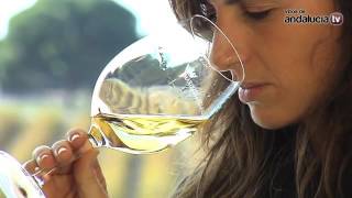 Marqués de Villalúa Bodegas Marqués de Villalúa - Vinos de Huelva