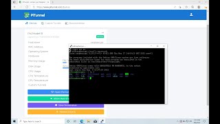 How to Remotely Access your Raspberry Pi&#39;s Terminal from anywhere in the world