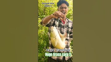 Raja CATCHES a Huge Grass Carp and it Fights Back