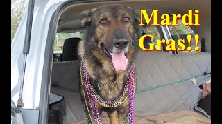 The Mississippi Diamondhead Mardi Gras parade. Not the Cajun style,  just a fun Holiday Parade by GoingNoWhereFast 306 views 2 months ago 2 minutes, 44 seconds
