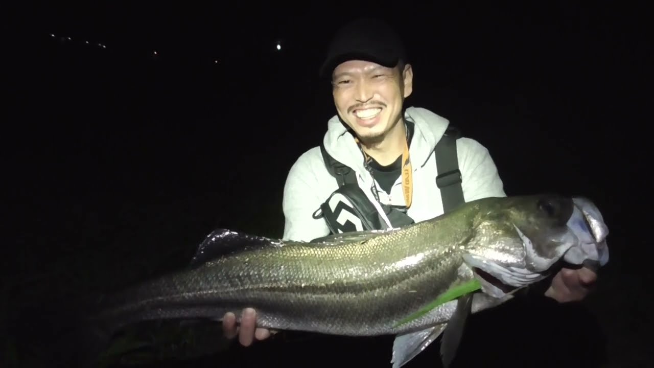 【100均釣り具】ランカーシーバスもこれ投げれば釣れます！最強100均ミノーは確実にコレ！シーバスフィッシング【シーバスの釣り方】タケダ師