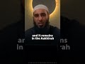 Jannah Is Not Here Ustadh Abul Abbaas Naveed AMAU Academy Jannah Is Not Here Ustadh Abul Abbaas Naveed AMAU Academy