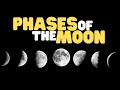 Phases of the moon  learn all about the moon for kids