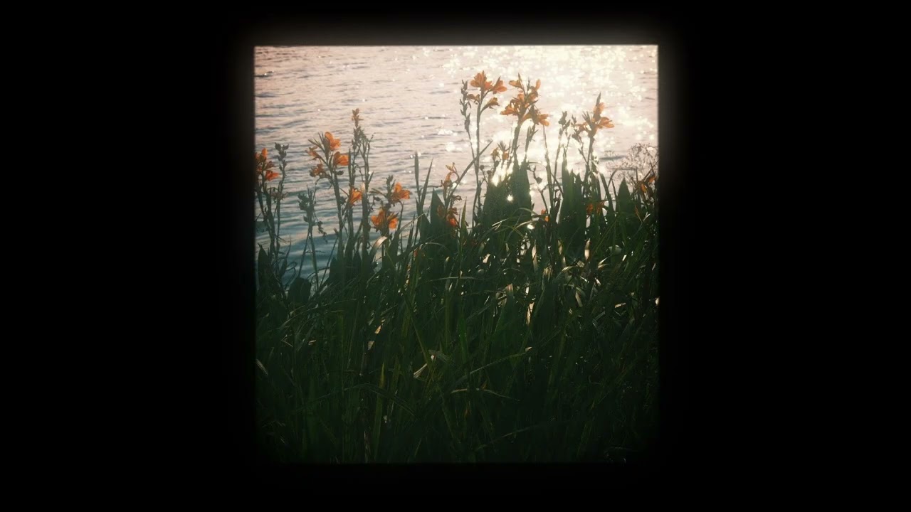 [FREE] Zach Bryan x Hozier Type Beat 2026 - "My Heart" | Raw Acoustic / Cinematic Folk Vibe