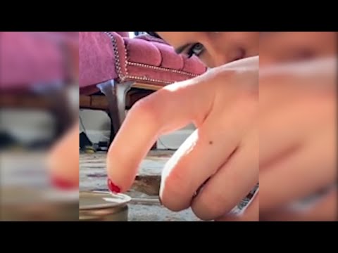 Un chat fait voltiger ce petit animal, mais la femme intervient alors pour le sauver