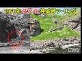 破天荒な1970年夏の神威岬ツーリング. 積丹町 北海道. 念仏トンネル 廃道