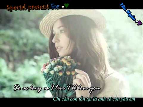 [ Vietsub + Lyric ] Beautiful in White - Shane Filan