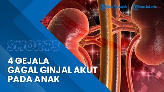 Download Lagu Kenali 4 Gejala Gagal Ginjal Akut Pada Anak, Orangtua Perlu Tahu! MP3