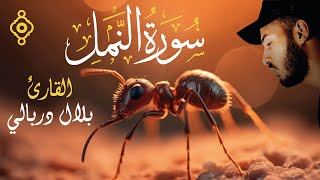 Sourate An-Naml - Cheikh Bilal Darbali Récitation Relaxante 😴
