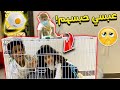 امي رمت العاب مؤيد وعبسي حبسهم بالحجر الصحي😭💔