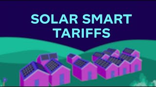 Famous Octopus solar smart tariffs and how they work | FAQs with a solar expert Net Worth