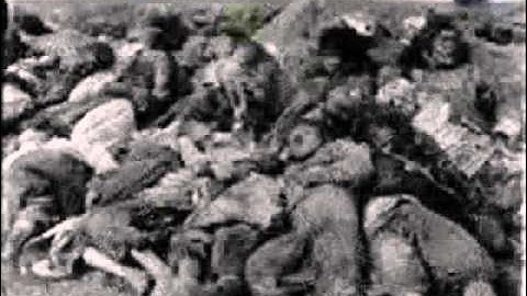 One Million Bones Internship