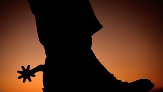 The Shadows - Johnny Guitar