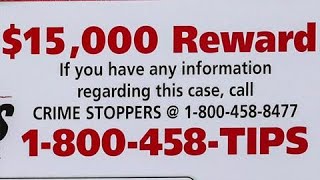 Video Detective Seeks Info In Murder Of Randi Gorenberg