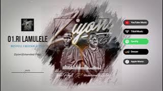 Mizo Phyll x Muledane Hustler_Ri Lamulele( Audio Visualizer)