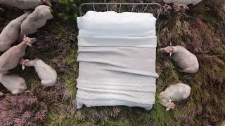 Aabe X Knitwitdeken De Deken Op De Hei