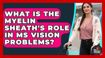 What Is The Myelin Sheath