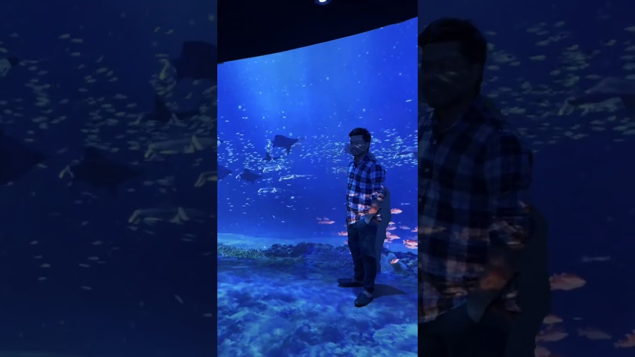 সামরিক জাদুঘর যেখানে ইতিহাস কথা বলে, বীরত্ব বেঁচে থাকে।