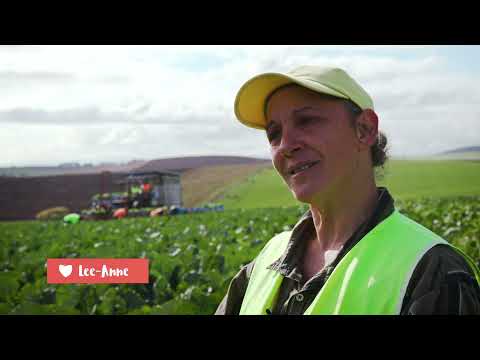 Tassie Harvest Jobs