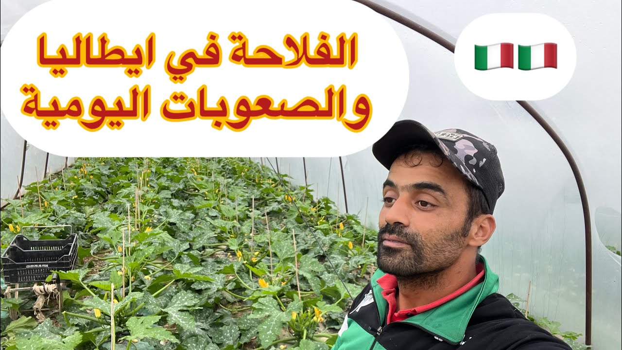 المشكل لي كاين في الخدمة خصوصاً في الفلاحة🇮🇹⛔️