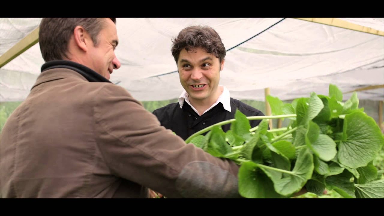 How to grate fresh Wasabi with Manu Letellier YouTube