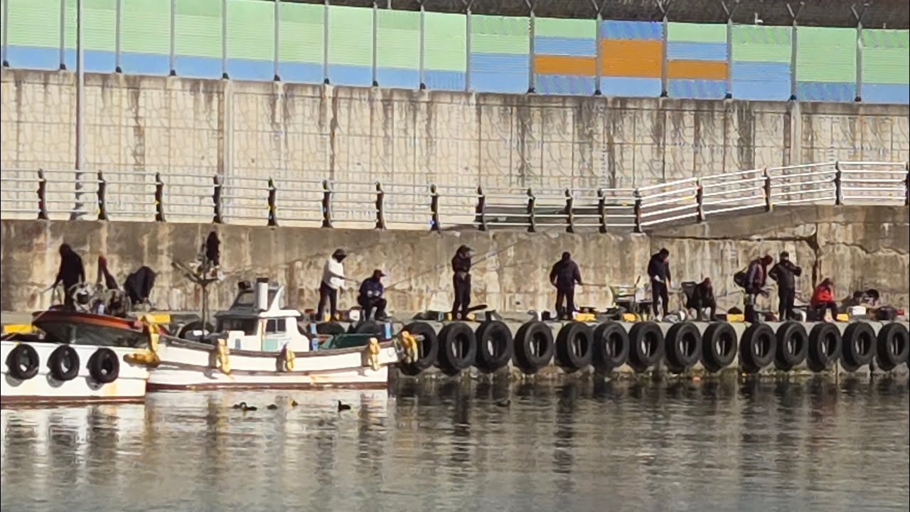 삼척 호산항 낚시 실제 실황!