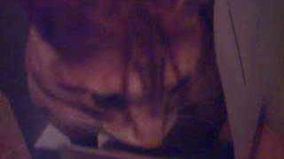 CLIP0069.AVI