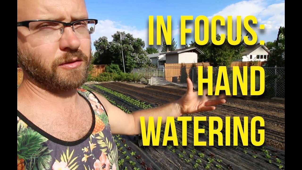IN FOCUS: My Favourite Hand Watering Tool