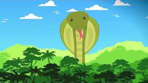 What If Titanoboa Snake Didn
