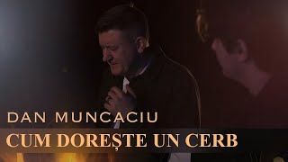 Dan Muncaciu - Cum Doreste-Un Cerb Oficial Video