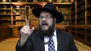 למה קוראים ל'תל השומר' - 'מרכז רפואי תל השומר'? הרב שניאור אשכנזי