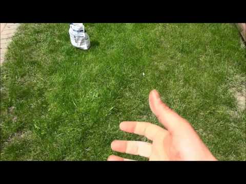 What Is A Seed Hand