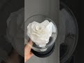 Langlebige Herz-Rose im Glas 🌹 Ewige Rose als Geschenk, Lieferung in ganz Deutschland #rose #florist