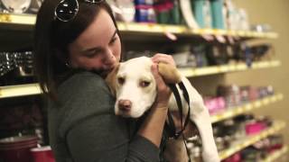 Alyssa and Lincoln Animal Adoption Story for PetSmart Charities® | Pet Rescue