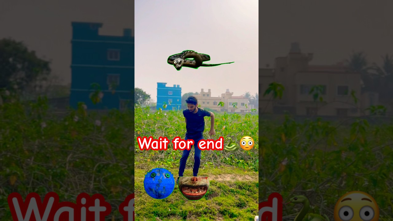 Pacman vs Snake, dinosour, Alien dance - magic video 