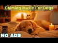 Dog Calming Music For Dogs рџЋµ Dog Sleep Music рџђ Separation Anxiety Relief Music в ђNo Ads Dog Calming Music For Dogs рџЋµ Dog Sleep Music рџђ Separation Anxiety Relief Music в ђNo Ads